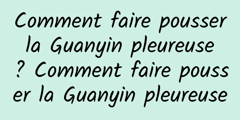 Comment faire pousser la Guanyin pleureuse ? Comment faire pousser la Guanyin pleureuse