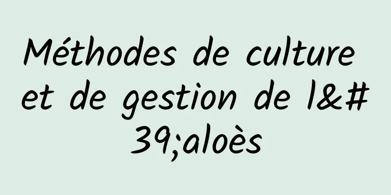 Méthodes de culture et de gestion de l'aloès