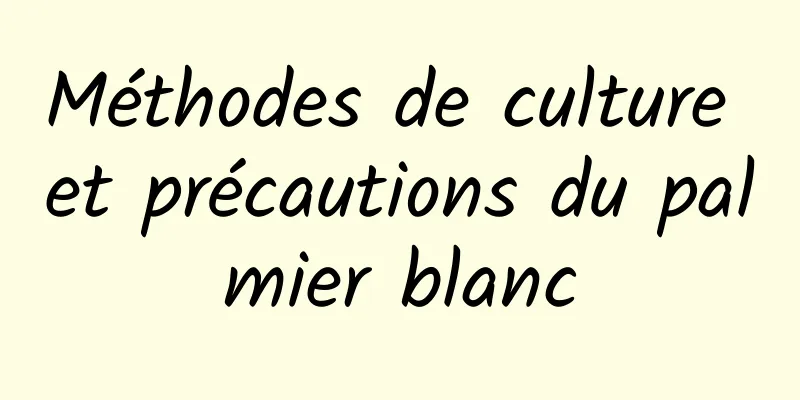 Méthodes de culture et précautions du palmier blanc