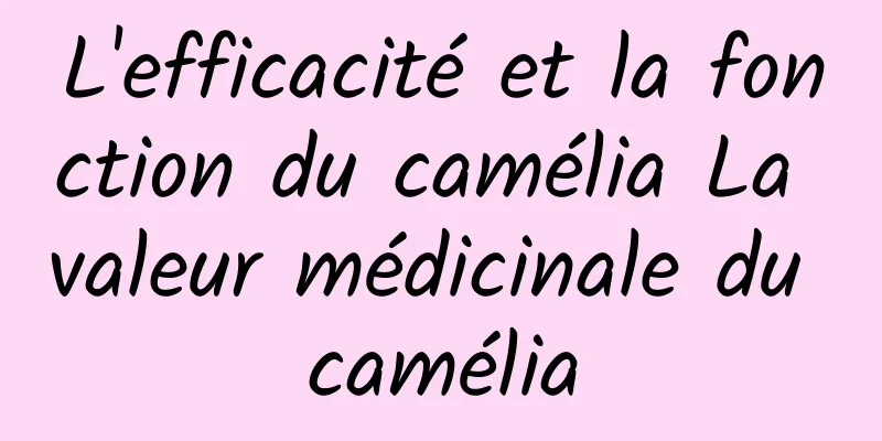 L'efficacité et la fonction du camélia La valeur médicinale du camélia