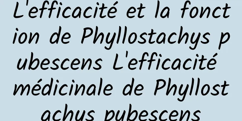 L'efficacité et la fonction de Phyllostachys pubescens L'efficacité médicinale de Phyllostachys pubescens