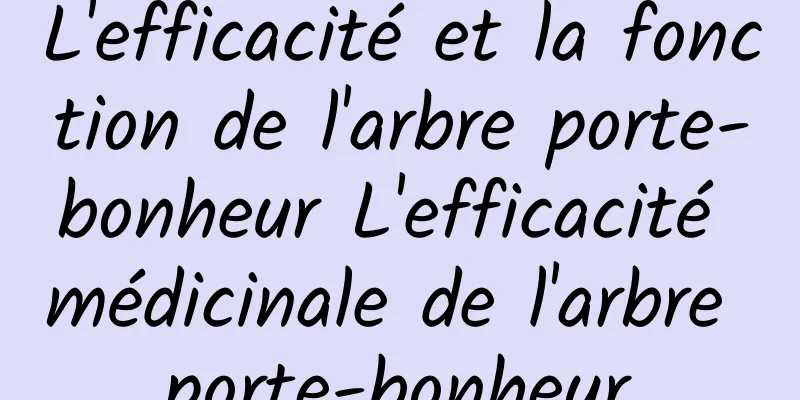 L'efficacité et la fonction de l'arbre porte-bonheur L'efficacité médicinale de l'arbre porte-bonheur