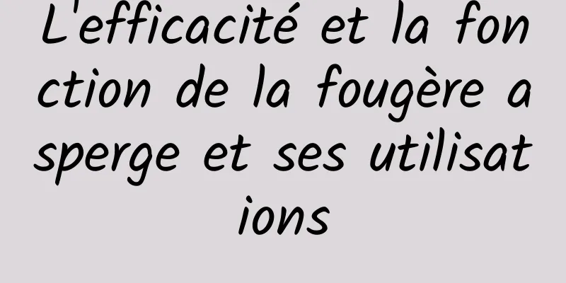 L'efficacité et la fonction de la fougère asperge et ses utilisations