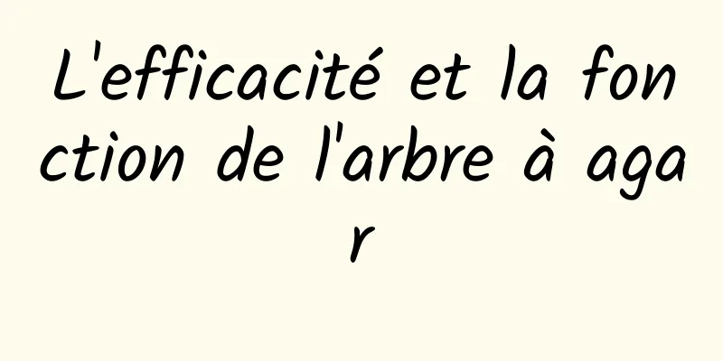 L'efficacité et la fonction de l'arbre à agar