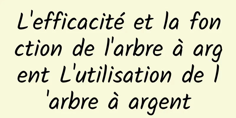 L'efficacité et la fonction de l'arbre à argent L'utilisation de l'arbre à argent