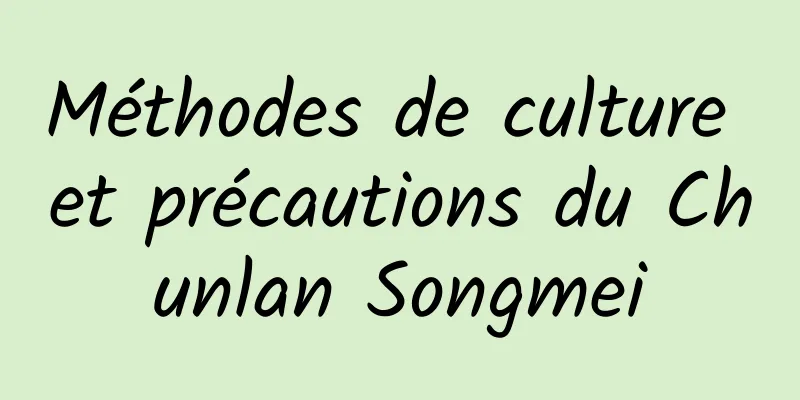 Méthodes de culture et précautions du Chunlan Songmei