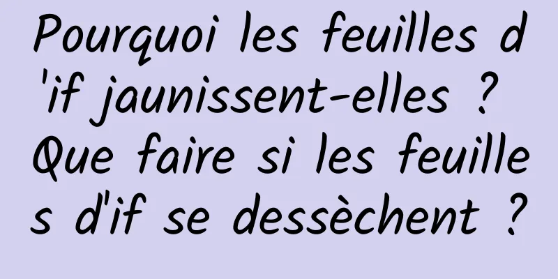 Pourquoi les feuilles d'if jaunissent-elles ? Que faire si les feuilles d'if se dessèchent ?