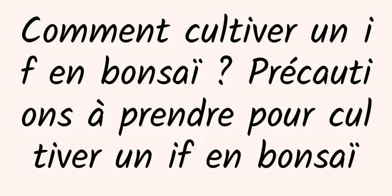 Comment cultiver un if en bonsaï ? Précautions à prendre pour cultiver un if en bonsaï