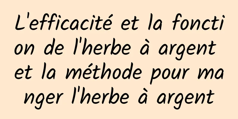 L'efficacité et la fonction de l'herbe à argent et la méthode pour manger l'herbe à argent