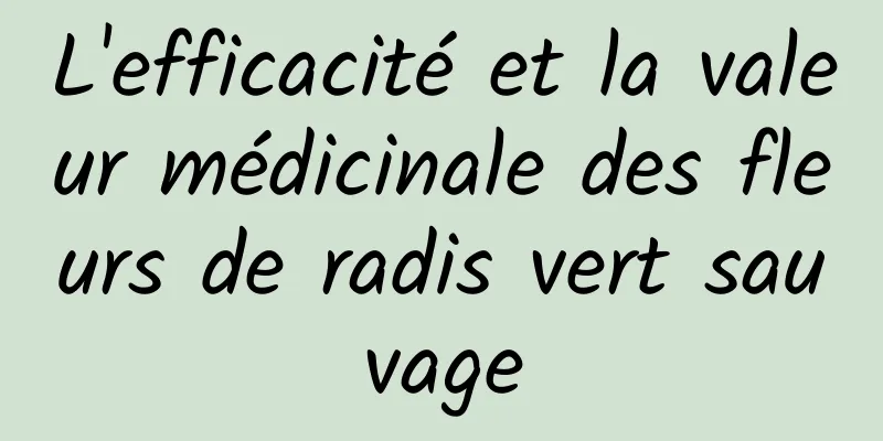 L'efficacité et la valeur médicinale des fleurs de radis vert sauvage