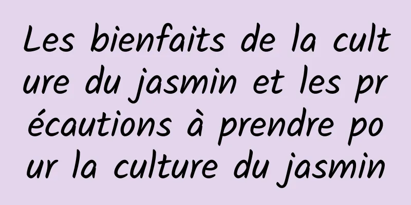 Les bienfaits de la culture du jasmin et les précautions à prendre pour la culture du jasmin