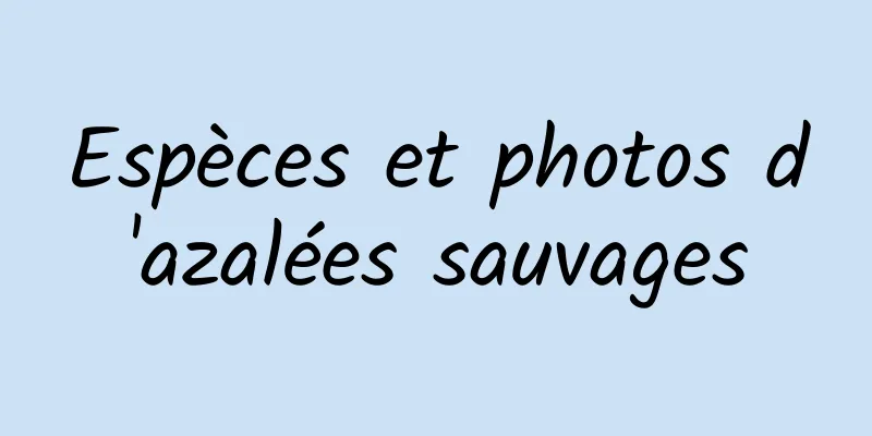 Espèces et photos d'azalées sauvages