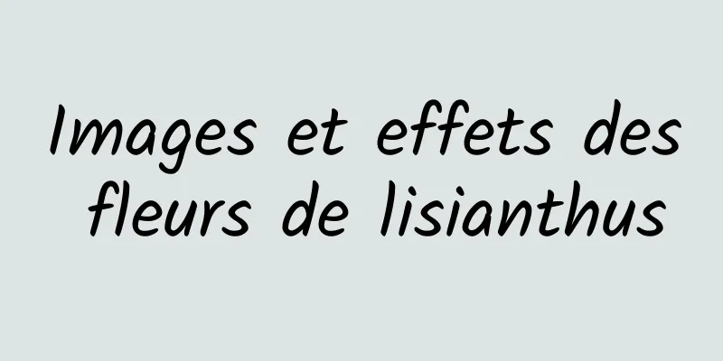 Images et effets des fleurs de lisianthus