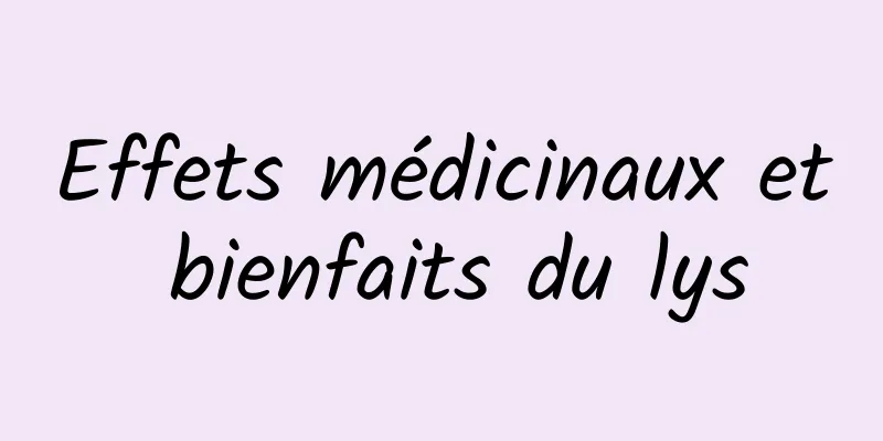 Effets médicinaux et bienfaits du lys