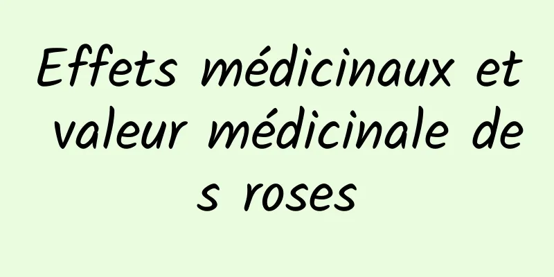 Effets médicinaux et valeur médicinale des roses