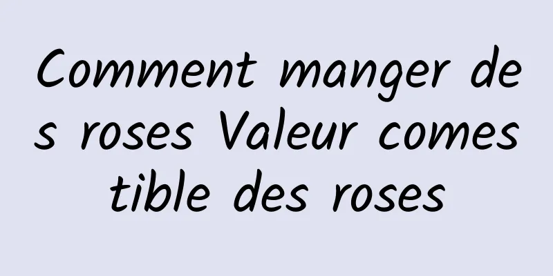 Comment manger des roses Valeur comestible des roses