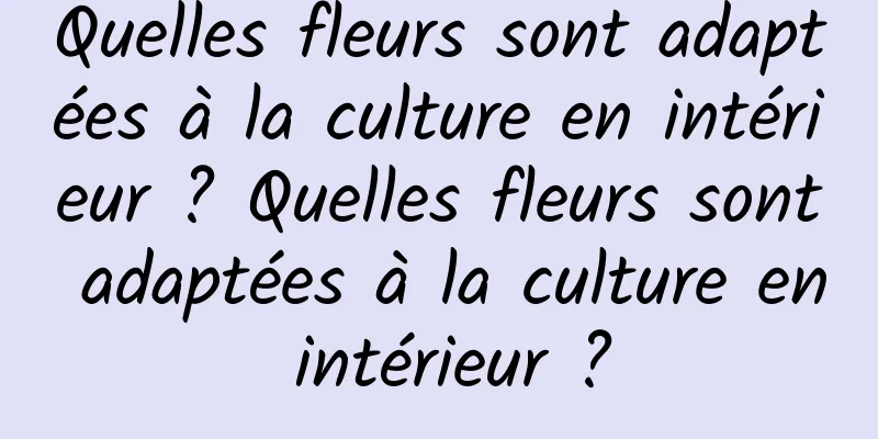 Quelles fleurs sont adaptées à la culture en intérieur ? Quelles fleurs sont adaptées à la culture en intérieur ?