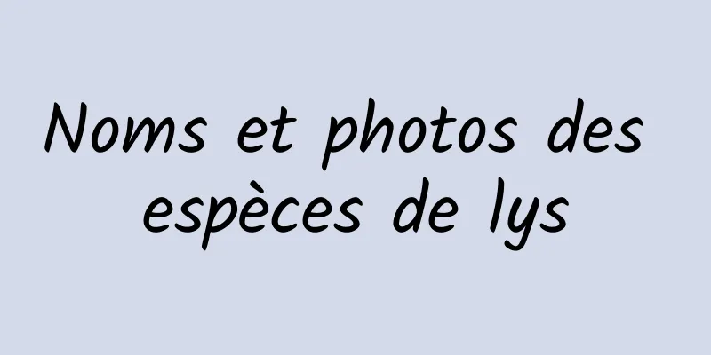 Noms et photos des espèces de lys