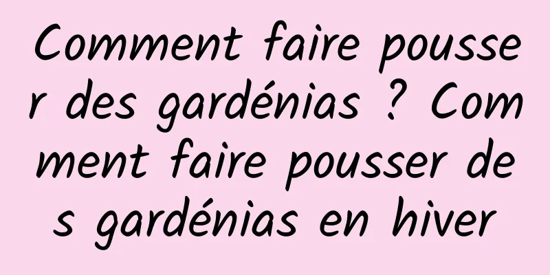 Comment faire pousser des gardénias ? Comment faire pousser des gardénias en hiver