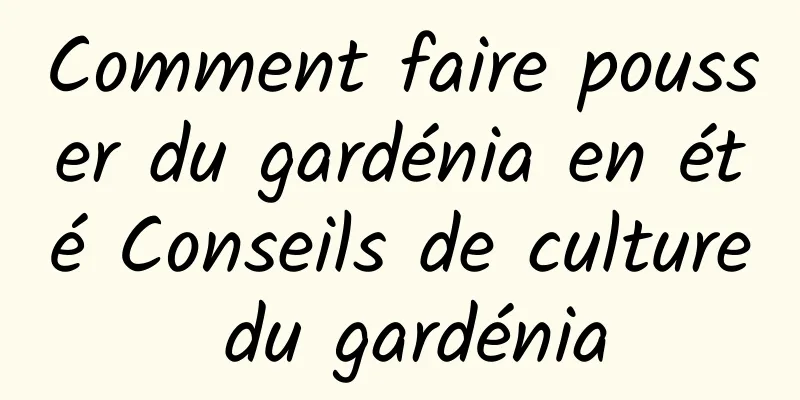 Comment faire pousser du gardénia en été Conseils de culture du gardénia