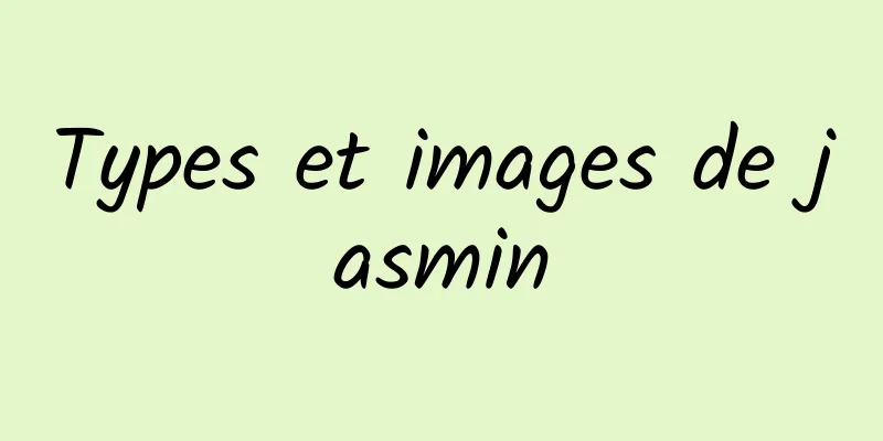 Types et images de jasmin