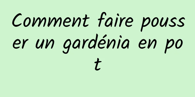 Comment faire pousser un gardénia en pot