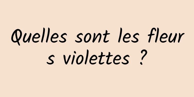 Quelles sont les fleurs violettes ?