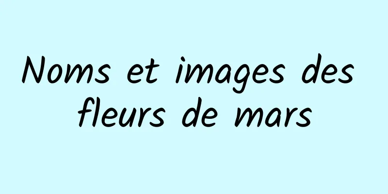 Noms et images des fleurs de mars