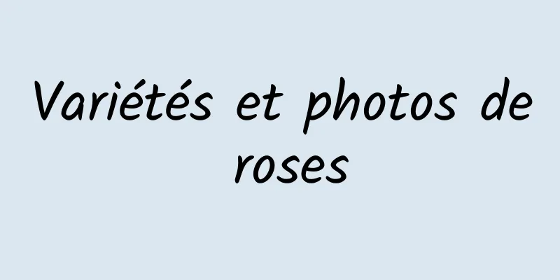 Variétés et photos de roses