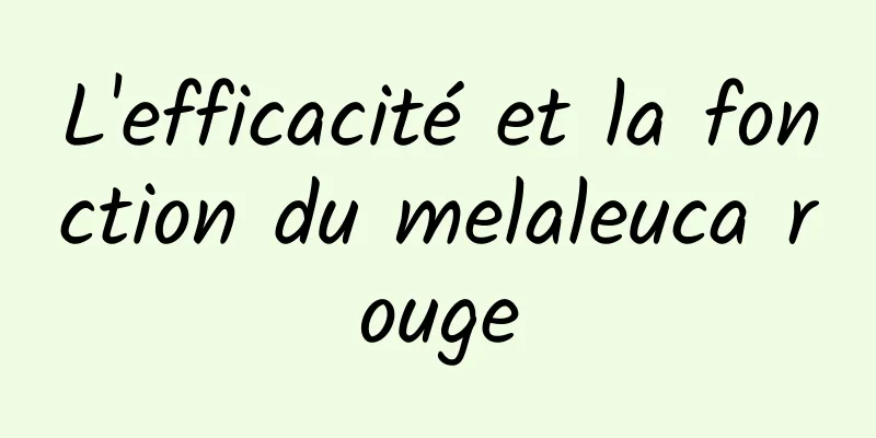 L'efficacité et la fonction du melaleuca rouge