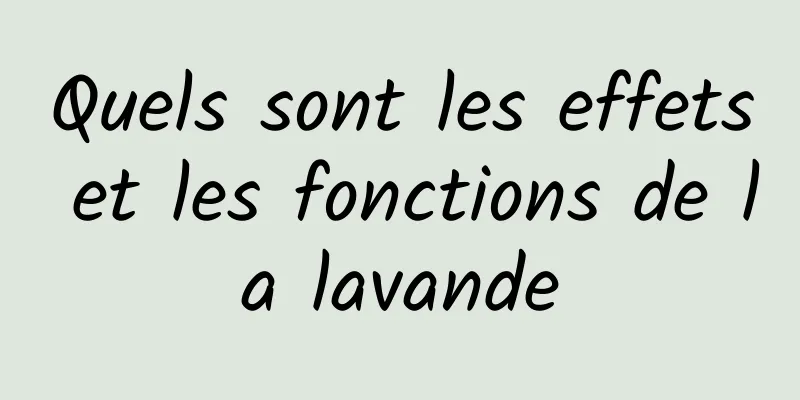 Quels sont les effets et les fonctions de la lavande