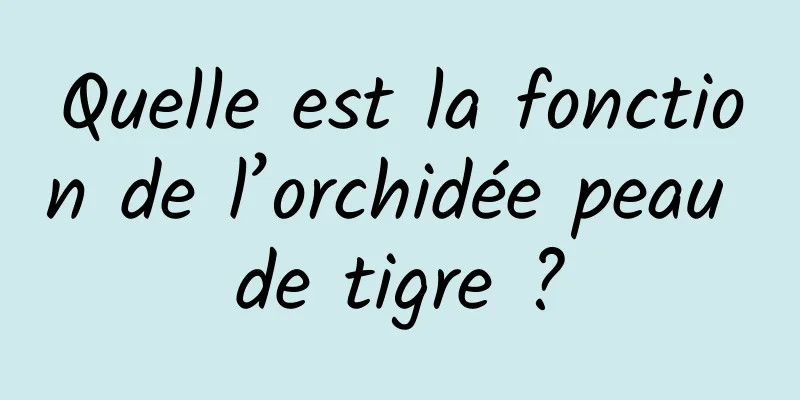 Quelle est la fonction de l’orchidée peau de tigre ?