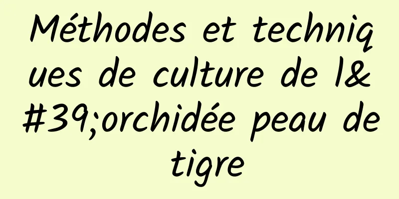 Méthodes et techniques de culture de l'orchidée peau de tigre