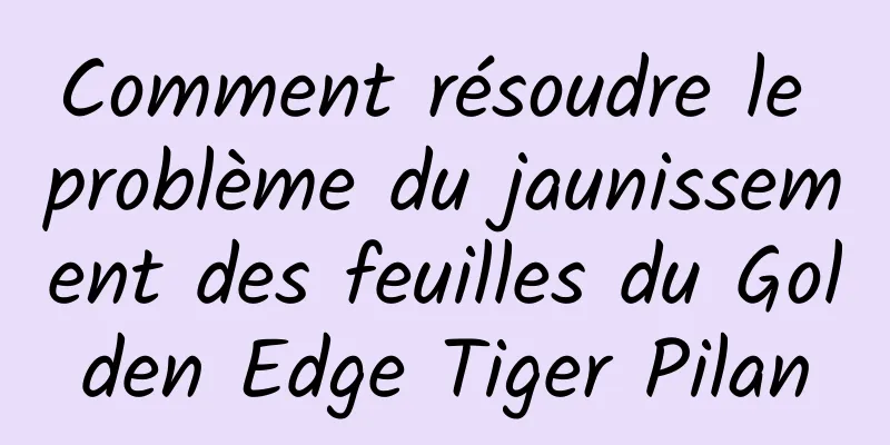 Comment résoudre le problème du jaunissement des feuilles du Golden Edge Tiger Pilan