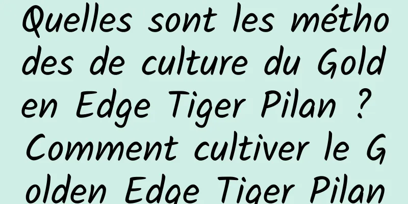 Quelles sont les méthodes de culture du Golden Edge Tiger Pilan ? Comment cultiver le Golden Edge Tiger Pilan