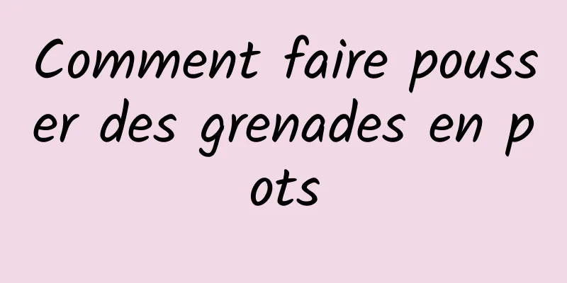 Comment faire pousser des grenades en pots