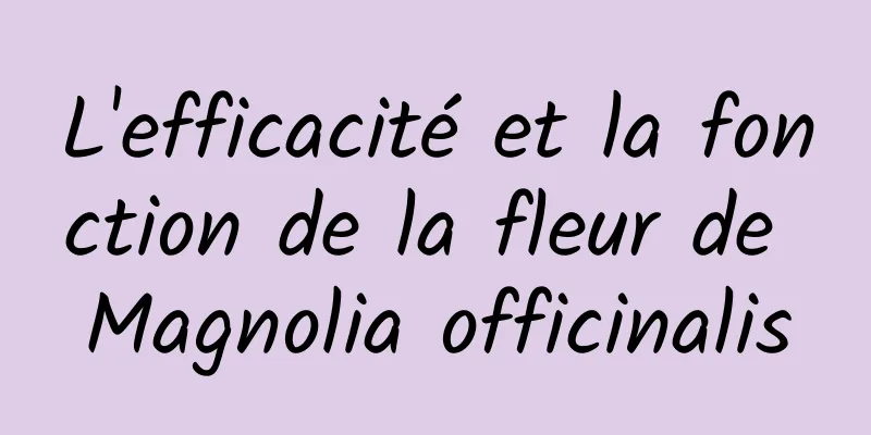 L'efficacité et la fonction de la fleur de Magnolia officinalis