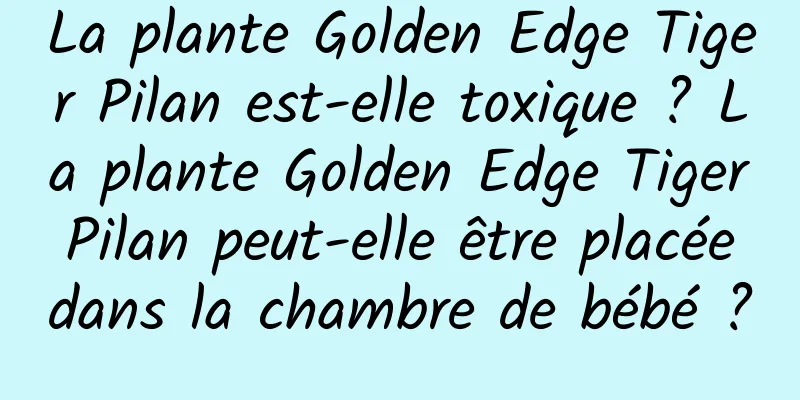 La plante Golden Edge Tiger Pilan est-elle toxique ? La plante Golden Edge Tiger Pilan peut-elle être placée dans la chambre de bébé ?