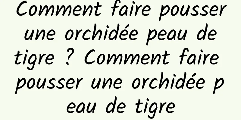 Comment faire pousser une orchidée peau de tigre ? Comment faire pousser une orchidée peau de tigre