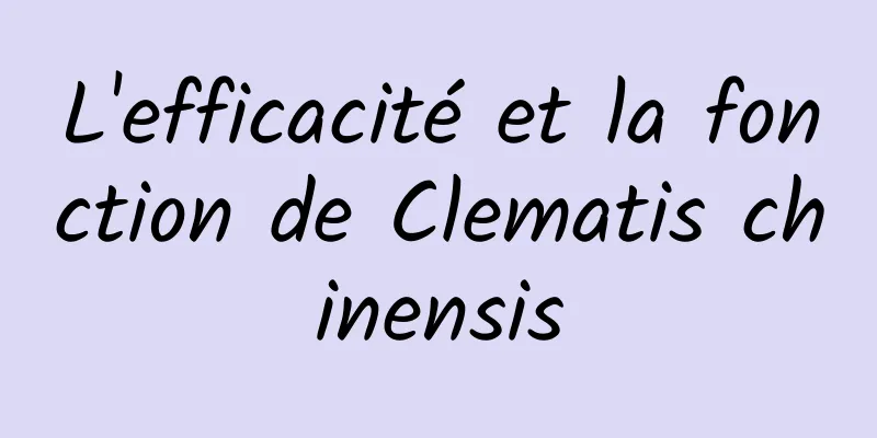 L'efficacité et la fonction de Clematis chinensis