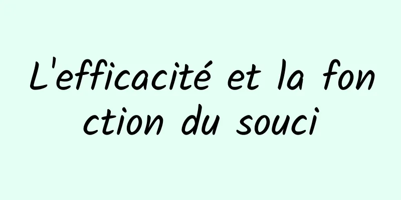 L'efficacité et la fonction du souci