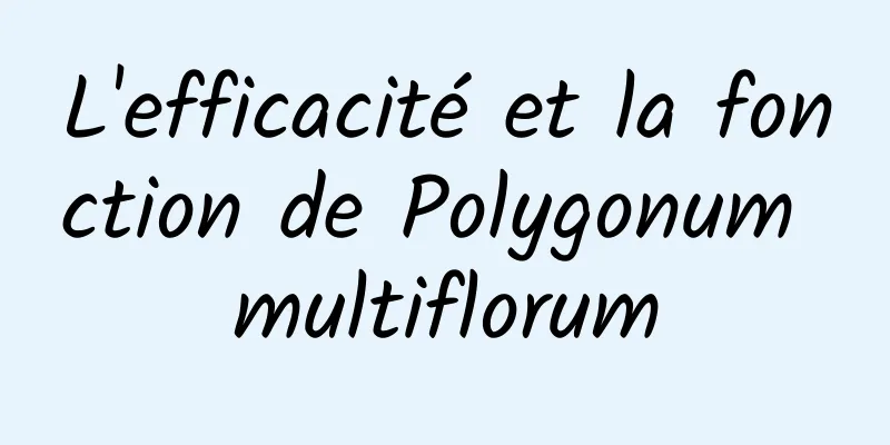 L'efficacité et la fonction de Polygonum multiflorum