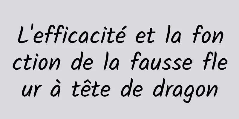 L'efficacité et la fonction de la fausse fleur à tête de dragon