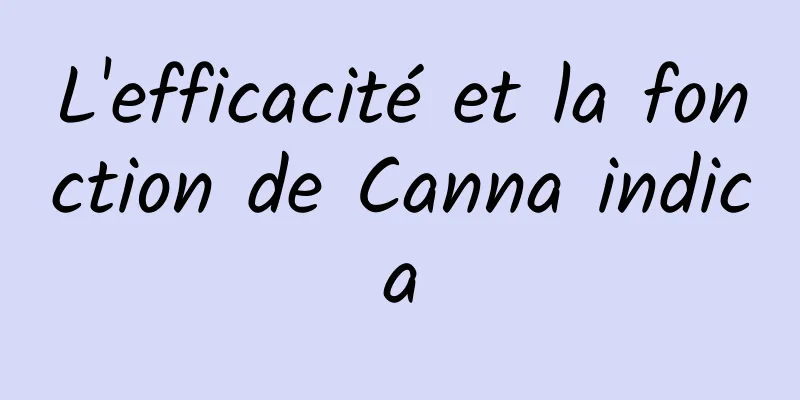 L'efficacité et la fonction de Canna indica