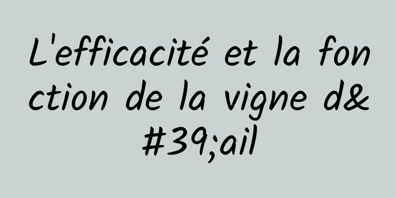 L'efficacité et la fonction de la vigne d'ail