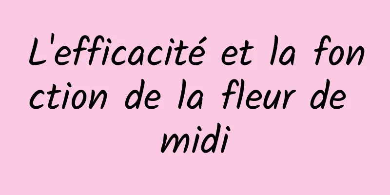 L'efficacité et la fonction de la fleur de midi