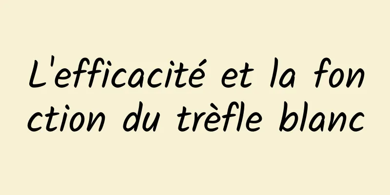 L'efficacité et la fonction du trèfle blanc