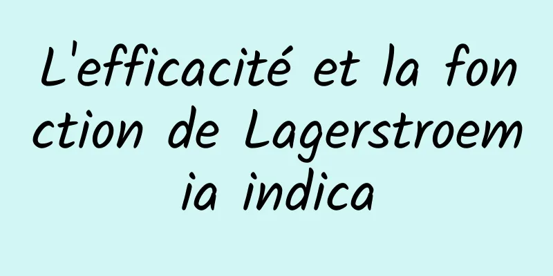 L'efficacité et la fonction de Lagerstroemia indica