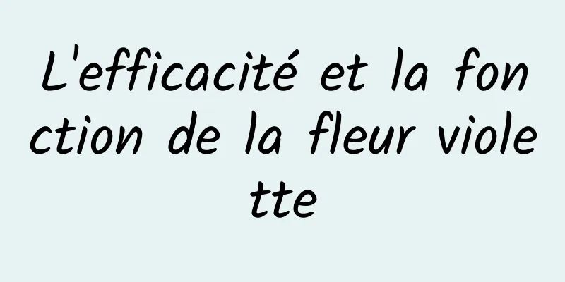 L'efficacité et la fonction de la fleur violette