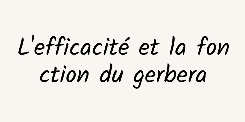 L'efficacité et la fonction du gerbera